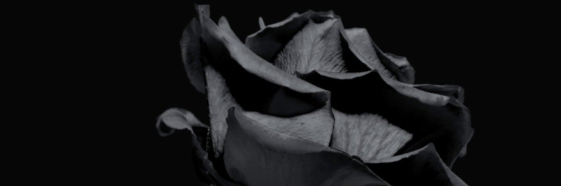Jordan banner