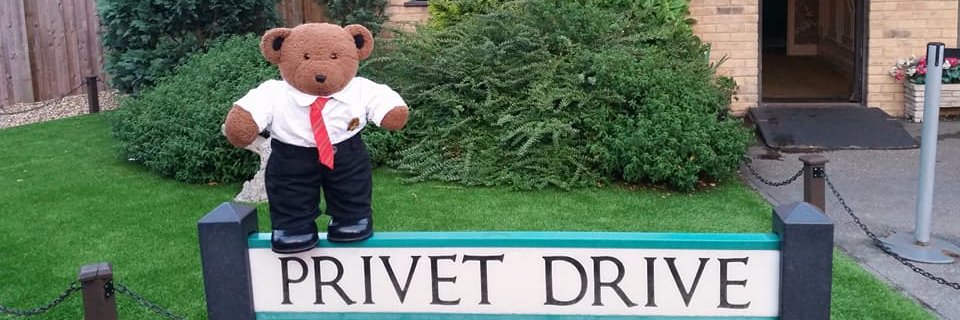 Roderick Bear banner