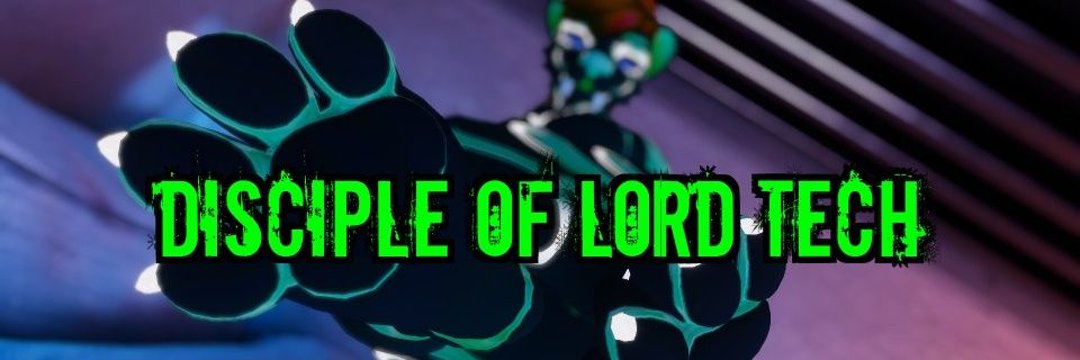 ⚡Saint Star⚡🦊 banner