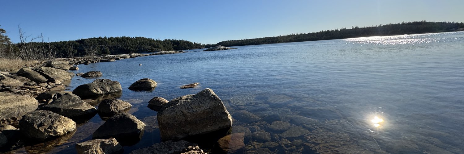 Athena Bedassigae-Pheasant banner