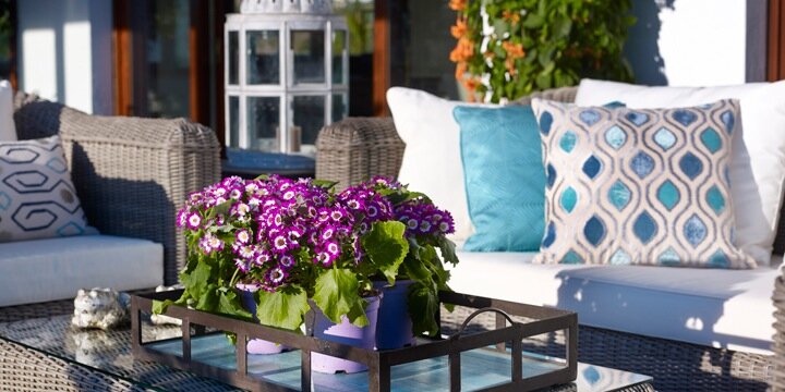 cachemirdecor's profile banner image