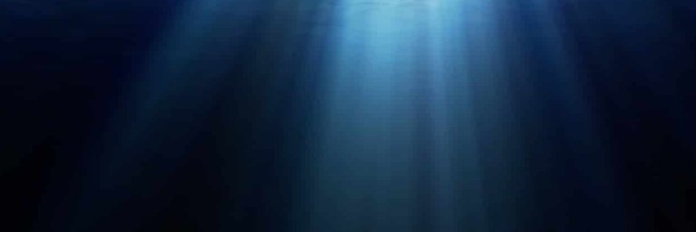 No banner