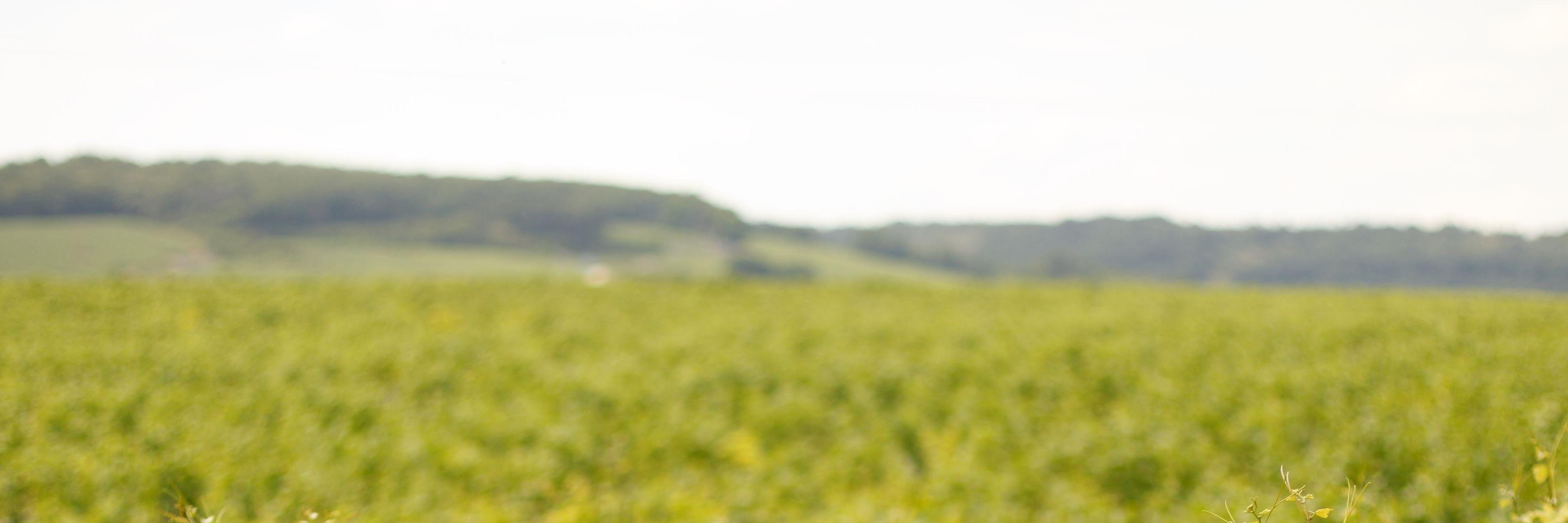 dustout's profile banner image