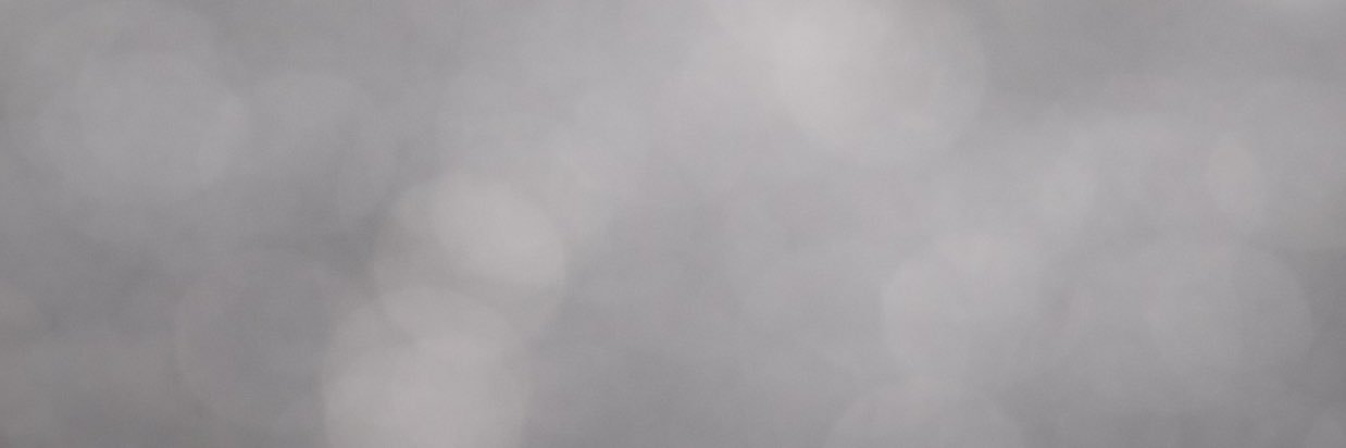 soup culture banner