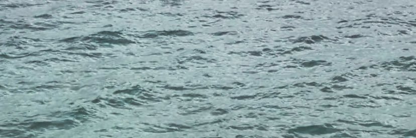 an banner
