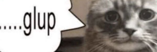 spillwayed Profile Banner