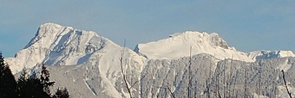 WillowReichelt Profile Banner