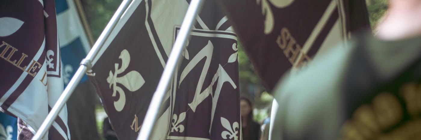 Nouvelle Alliance's banner