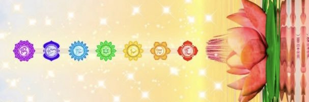 C1D🏴‍☠️ banner