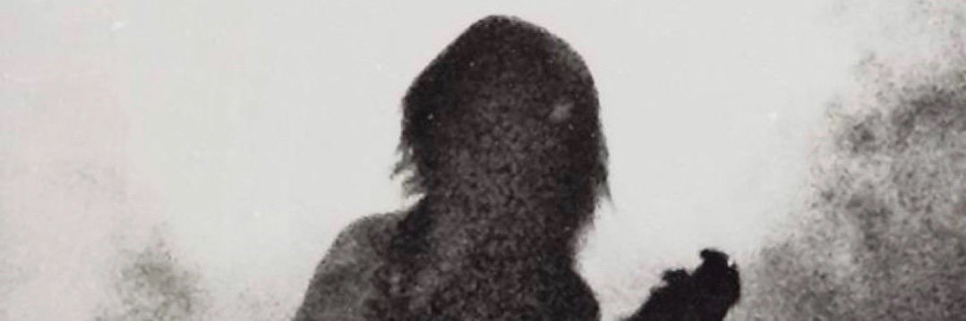 blahlizn's profile banner image