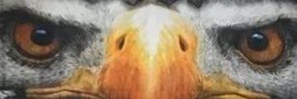 YoFavTeamMom1 Profile Banner