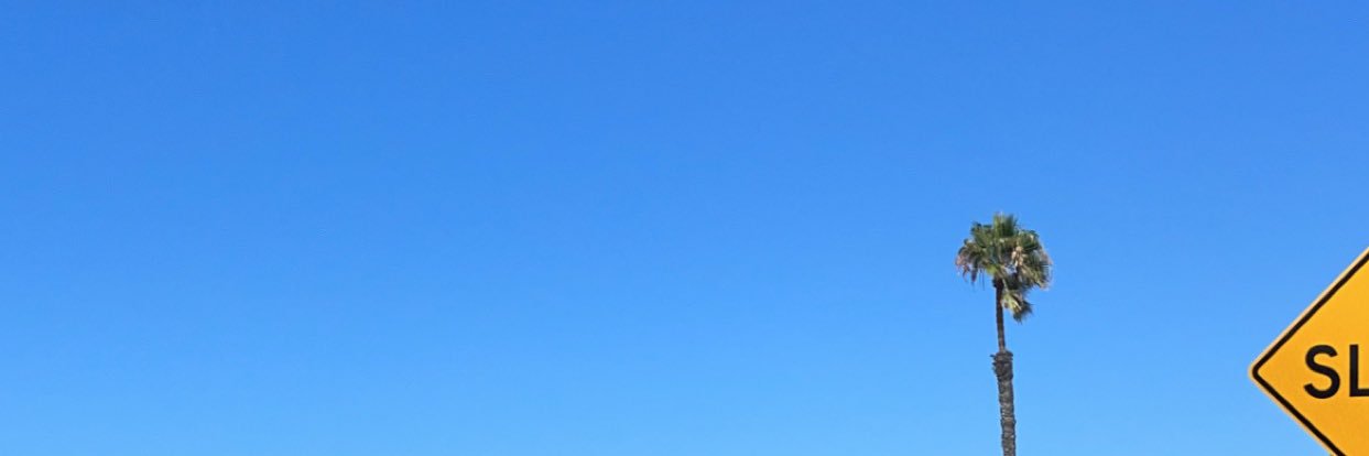 PeaceCartel's profile banner image