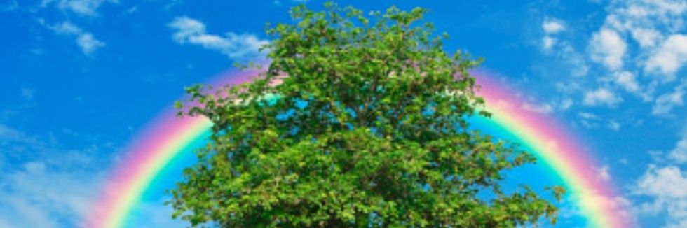 MelCheuvront's profile banner image
