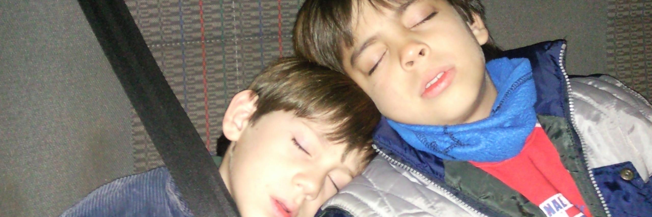 canecampis's profile banner image