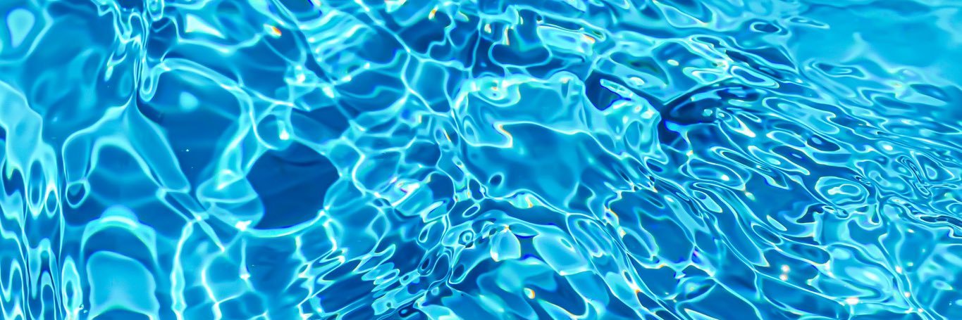 플래니모 Tea_Pilgrim banner