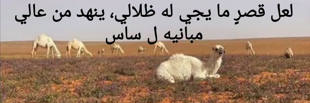 سا س's banner