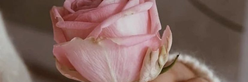 AlaaA40147783's profile banner image