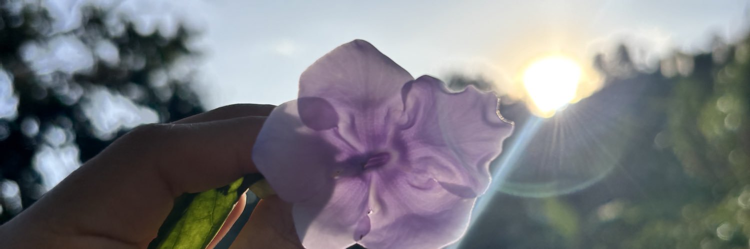Soffayalaaa's profile banner image