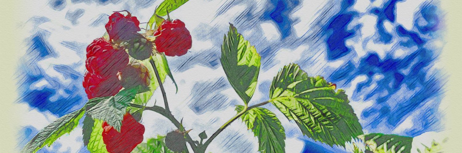 kuragersu's profile banner image