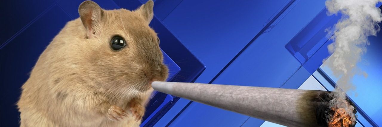 keelerbin's profile banner image