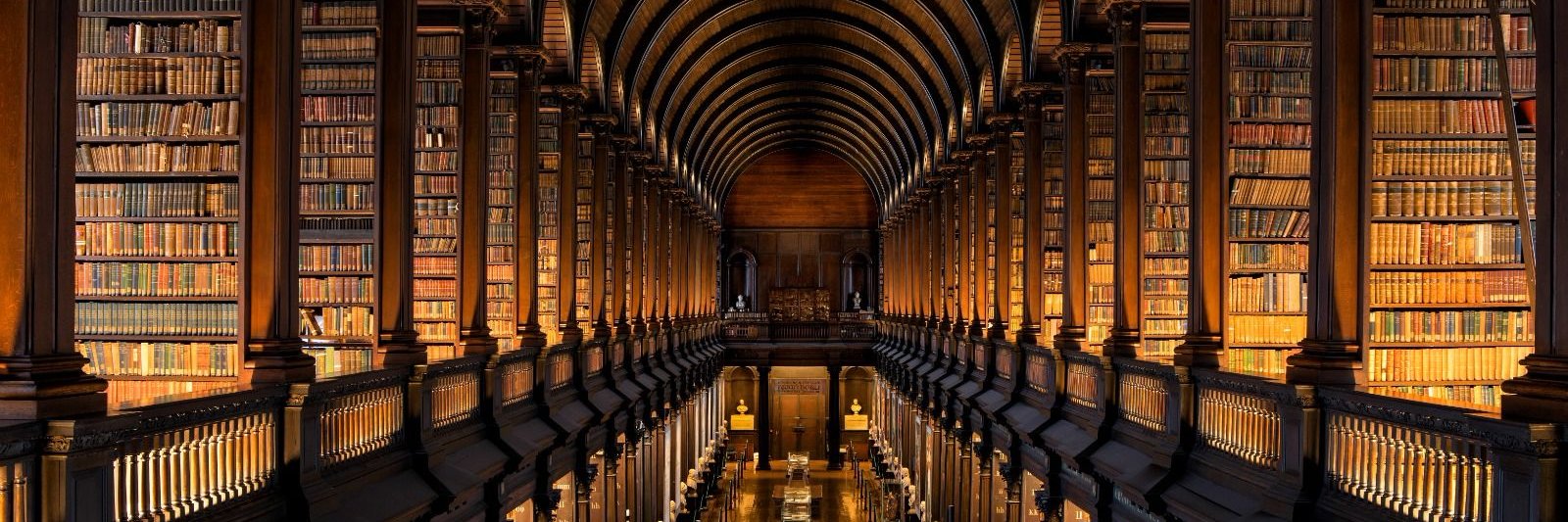 Dr Mathew McCauley banner