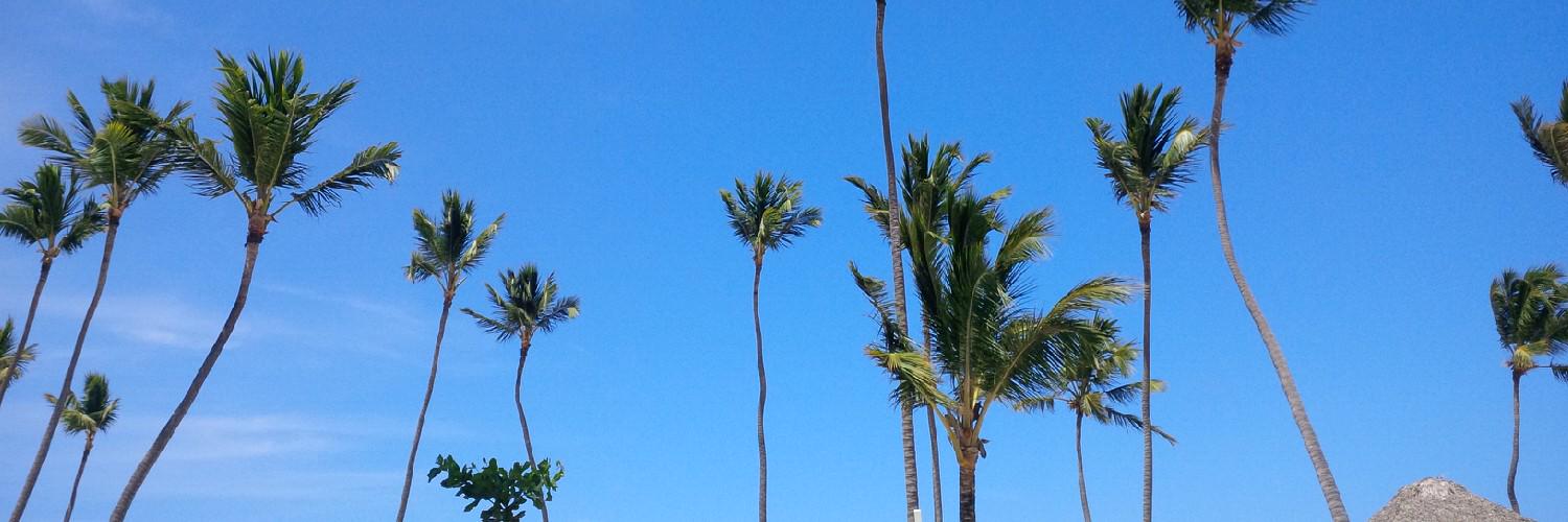 Elle Barnes-Reen banner