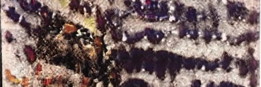 Michelle Torres banner
