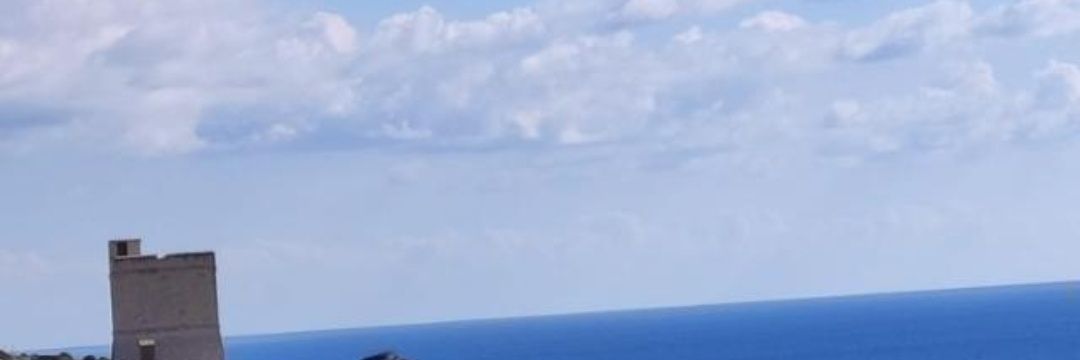 DeliaRodr's profile banner image