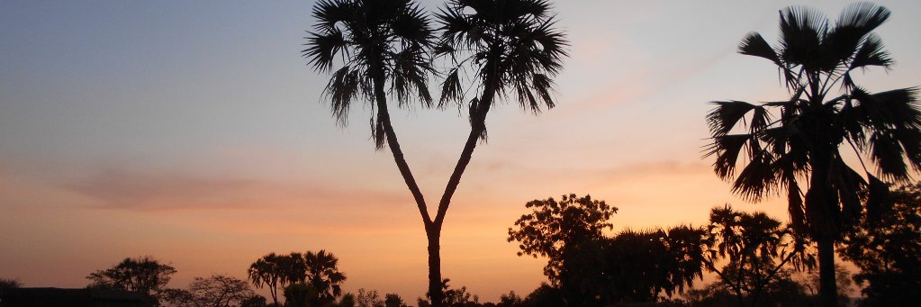 hashimawad's profile banner image