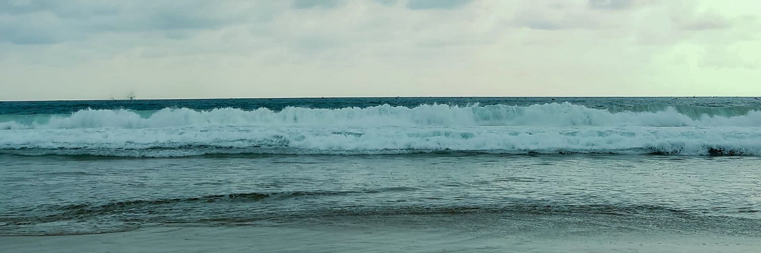 mijo banner