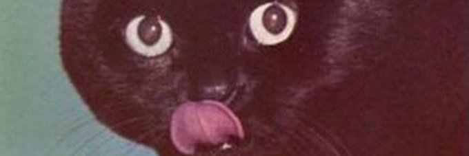 13Virus12's profile banner image