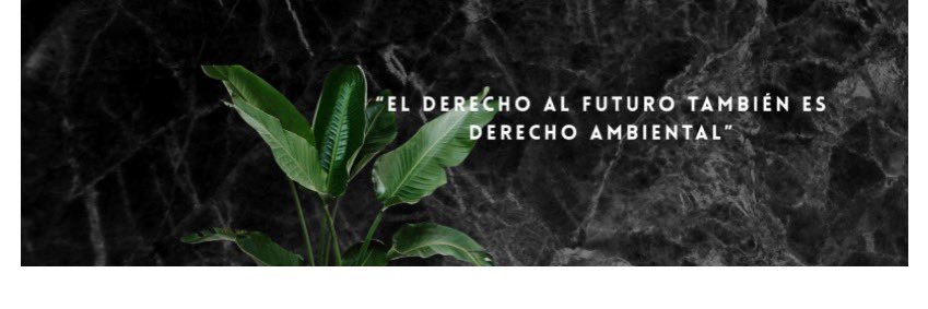Estefanía Suárez banner