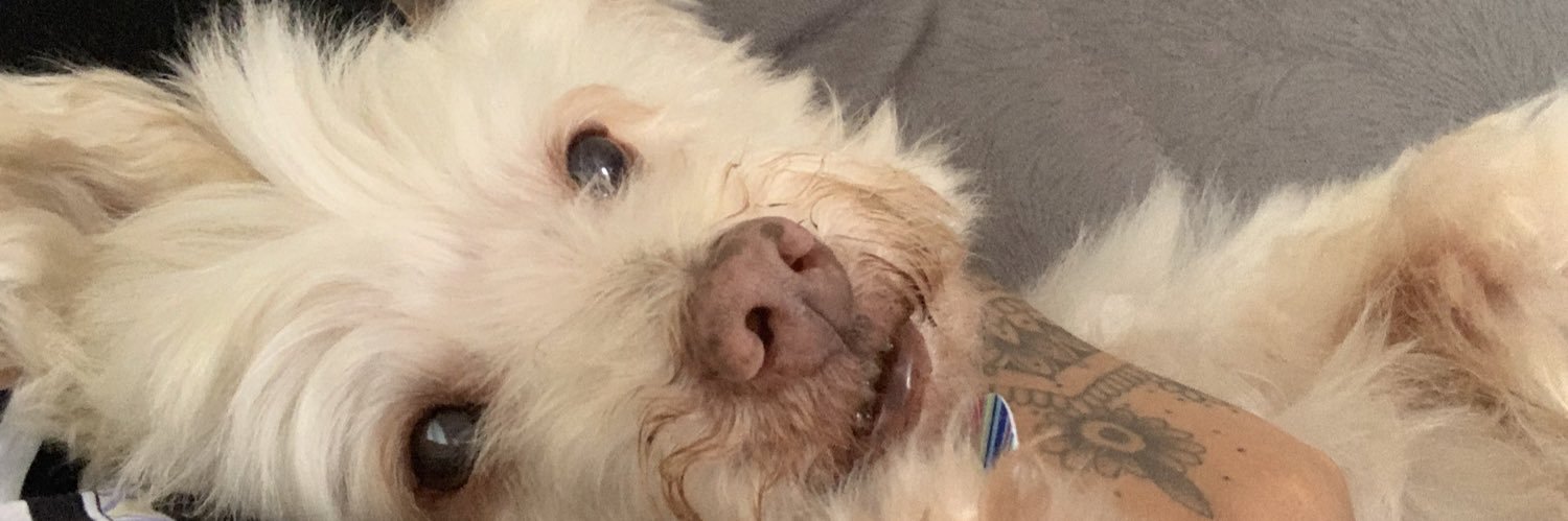 laribzr's profile banner image