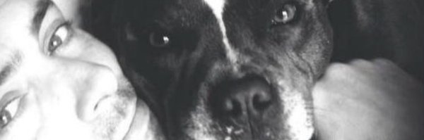 rektrob_ Profile Banner