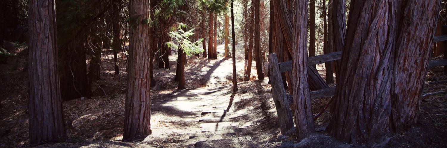 Joshua Nelson banner