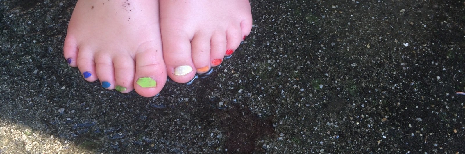 Lexi Walters Wright banner