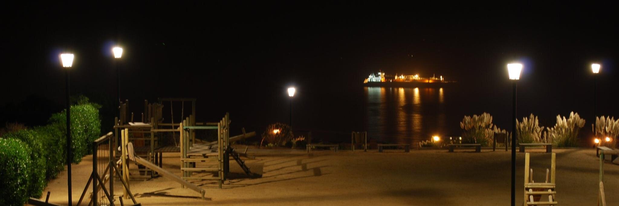 Daniela Menares banner