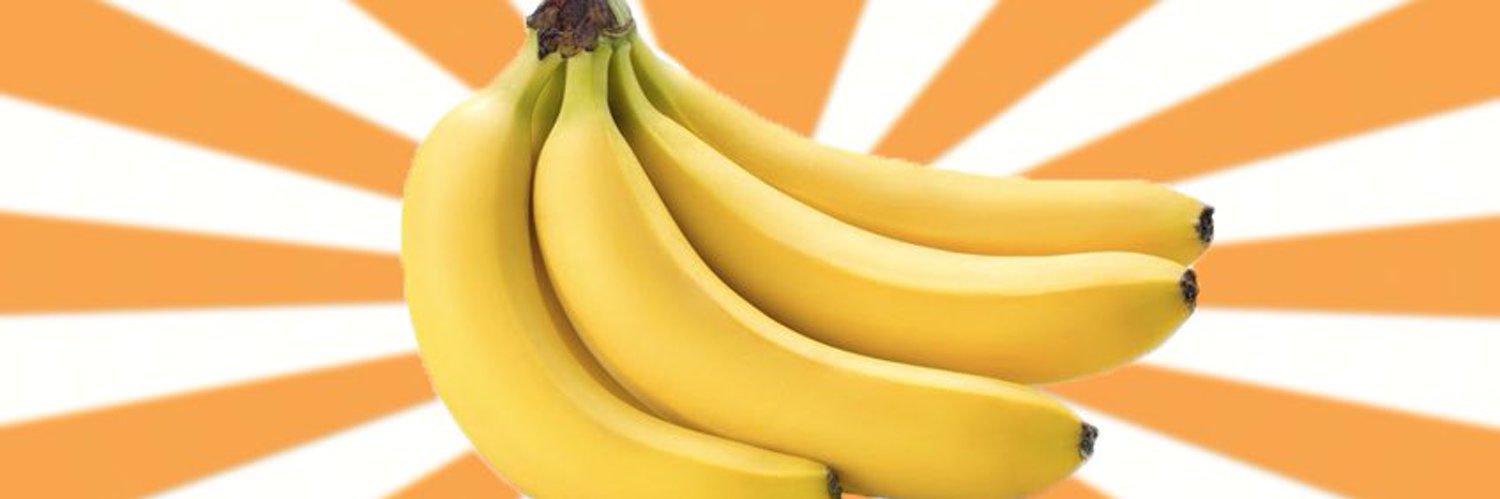 TheCountessAnna's profile banner image
