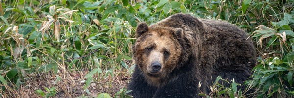 kumar0001 Profile Banner