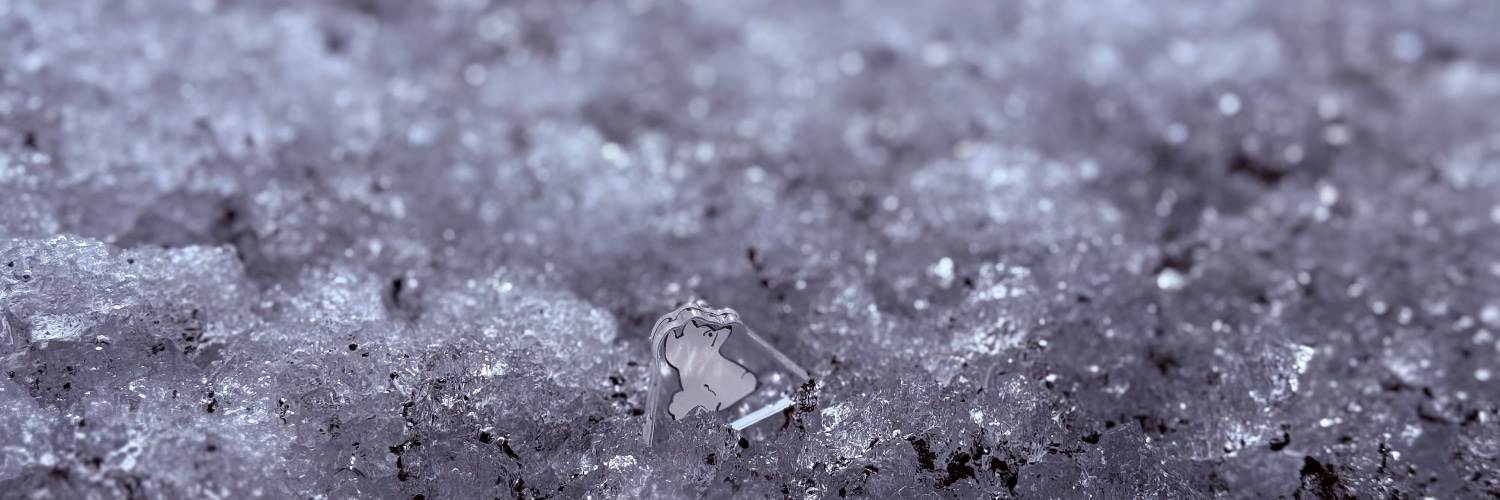 森江🌳東7I28a banner