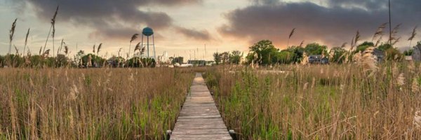 AnnaEconomist Profile Banner