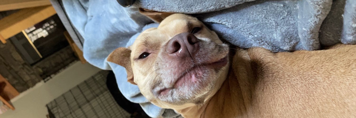 MorganBundrick6's profile banner image
