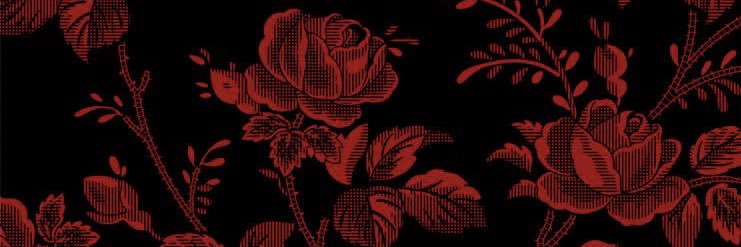 Dita's banner
