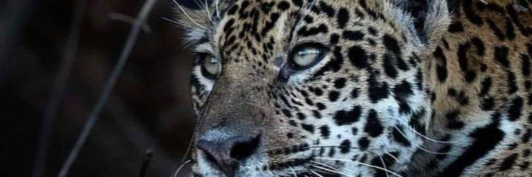 gitau_ken's profile banner image