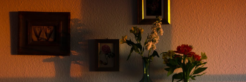 kalito_J's profile banner image