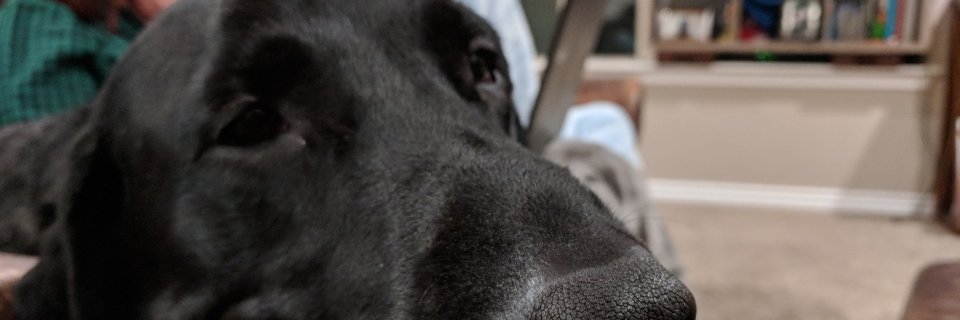 erik_hanson's profile banner image
