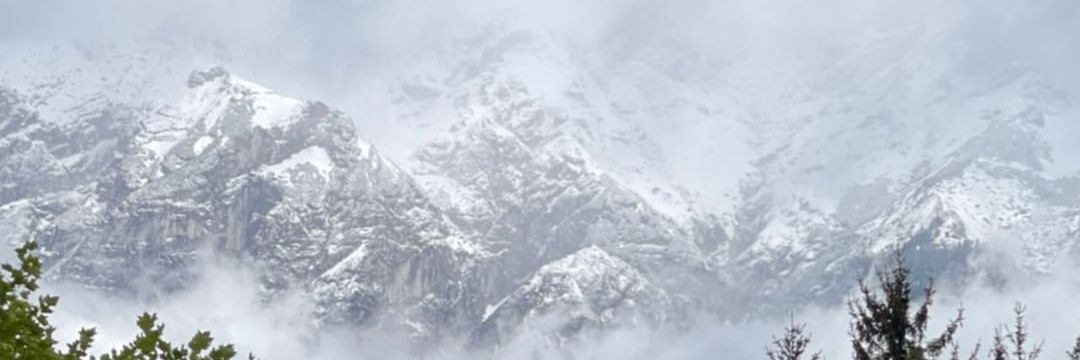 feisyff's profile banner image