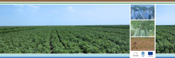 WatDev1 Profile Banner