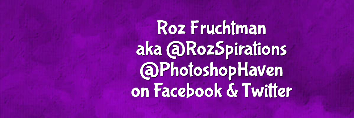 rozfruchtman's profile banner image