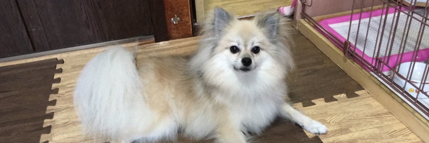 doryango's profile banner image